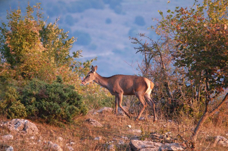 Equinozio d''autunno